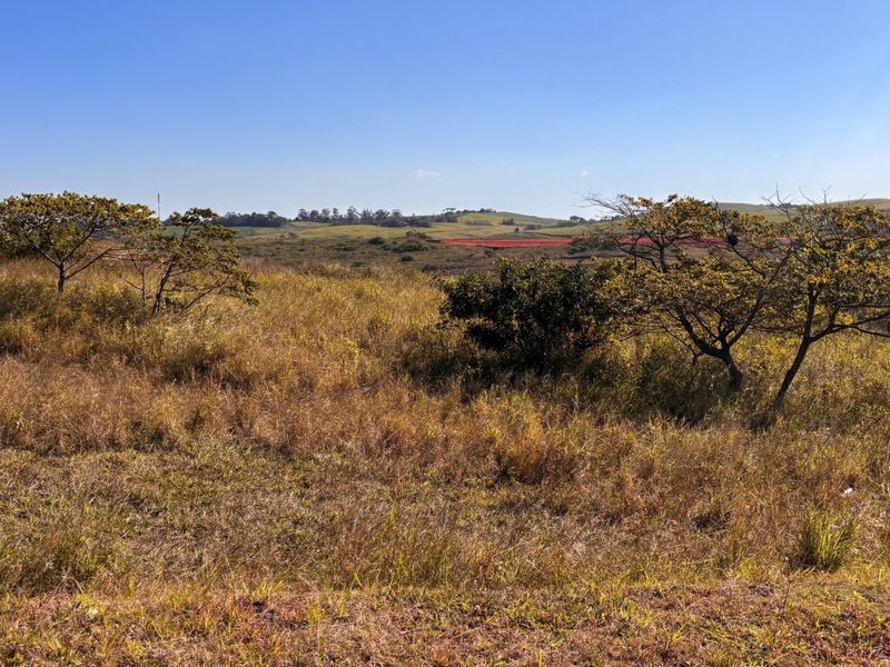 A wide-angle view of the vacant residential land, showcasing the natural landscape, rolling terrain, and surrounding vegetation.