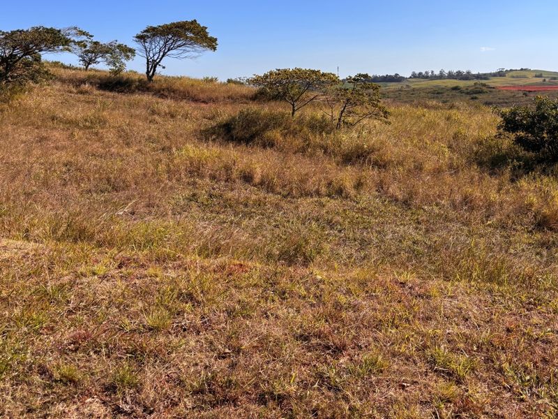 A vacant residential plot featuring natural grass and indigenous trees, offering a scenic landscape view.