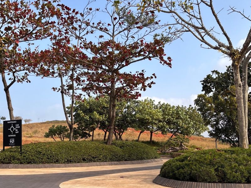 A well-maintained entrance area featuring paved driveways, mature landscaping, and clear directional signage within a residential estate.