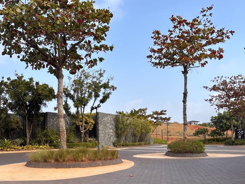 A well-maintained paved driveway entrance featuring landscaped tree islands and a stone retaining wall within a residential estate setting.