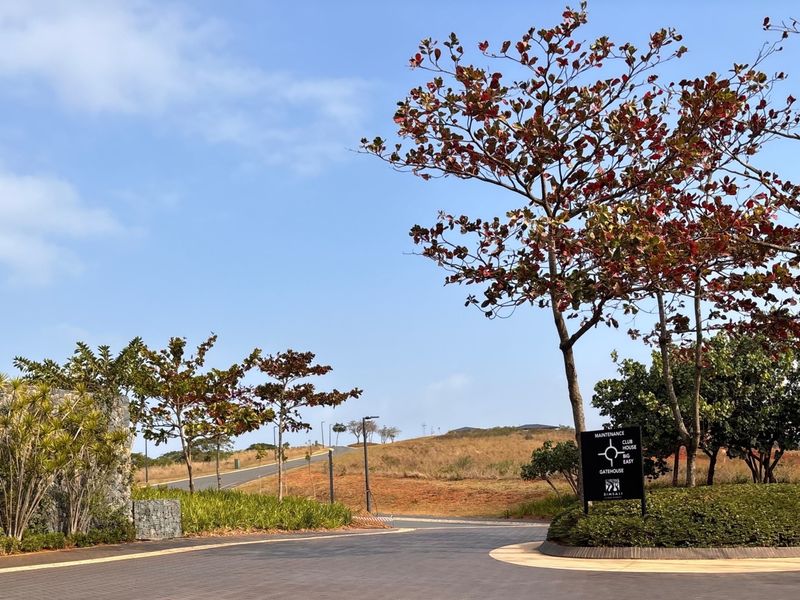 A well-maintained paved entrance road within a residential estate, featuring landscaped gardens, stone retaining walls, and clear directional signage.
