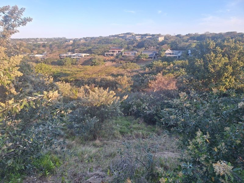 A scenic elevated view overlooking a natural landscape with surrounding residential properties in the distance.