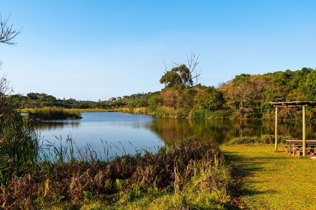A scenic view of a natural lake surrounded by lush greenery and native vegetation, offering a peaceful outdoor setting.