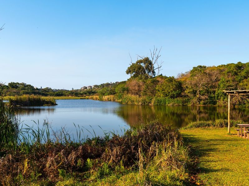A scenic view of a natural lake surrounded by lush greenery and native vegetation, offering a peaceful outdoor setting.