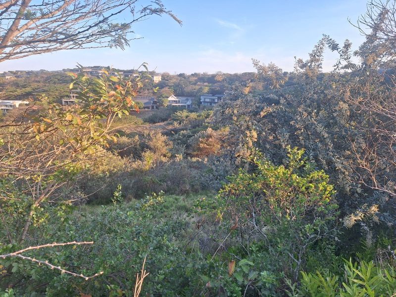 A scenic view overlooking a natural landscape with surrounding residential properties in the distance.