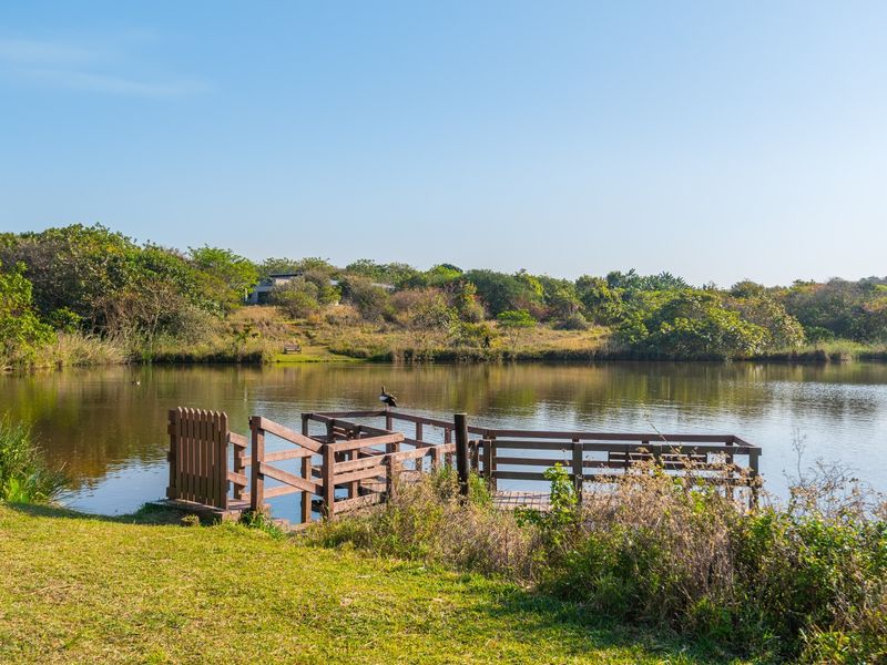 A scenic view of a tranquil lake featuring a wooden jetty, surrounded by lush natural vegetation and open green space.