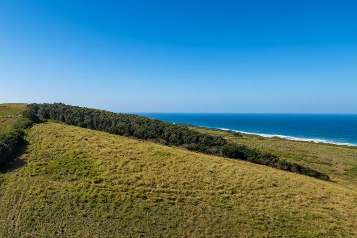 An aerial view of a vacant residential plot featuring expansive grassy terrain and direct views of the coastline and ocean.