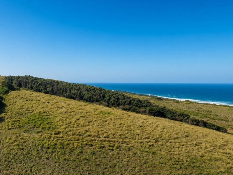 An aerial view of a vacant residential plot featuring expansive grassy terrain and direct views of the coastline and ocean.