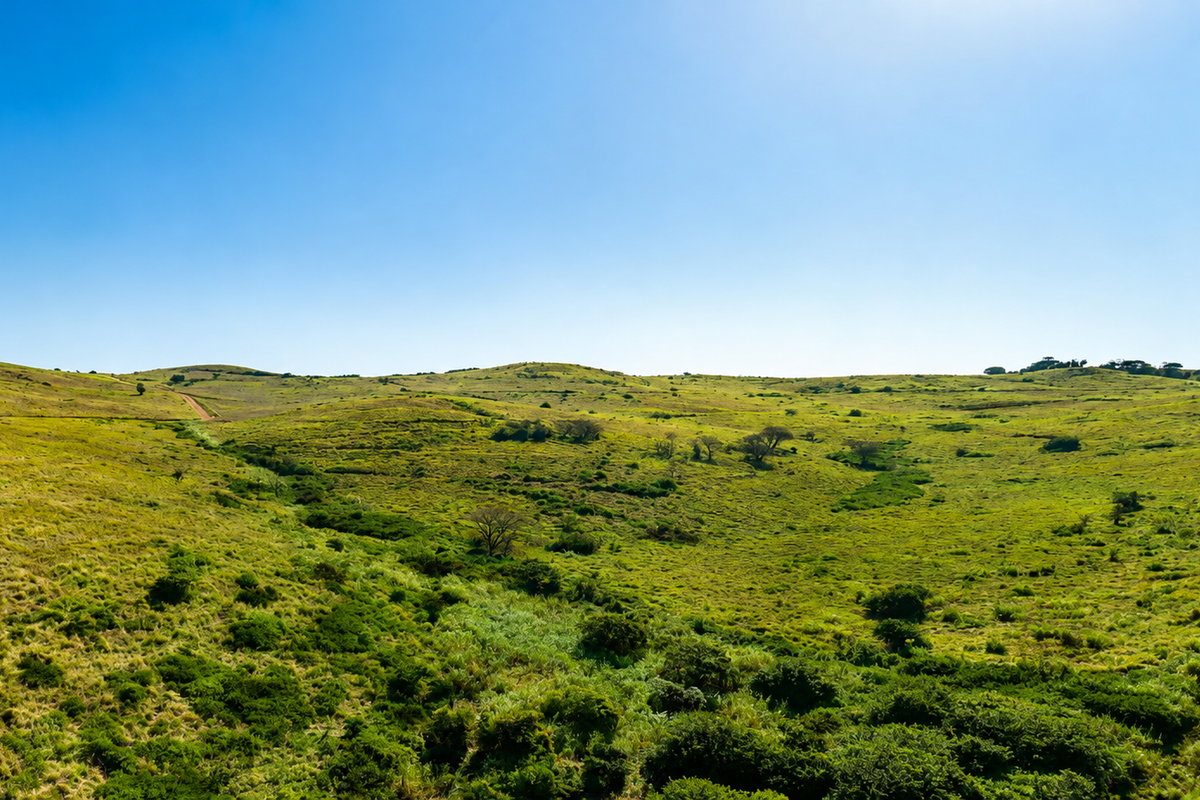 A wide-angle view of expansive, rolling green hills and natural landscape under a clear blue sky.