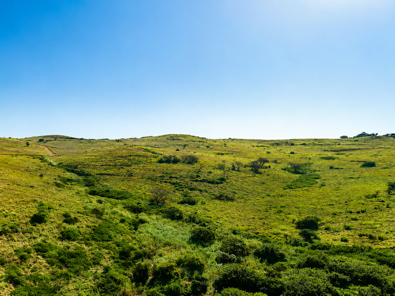 A wide-angle view of expansive, rolling green hills and natural landscape under a clear blue sky.