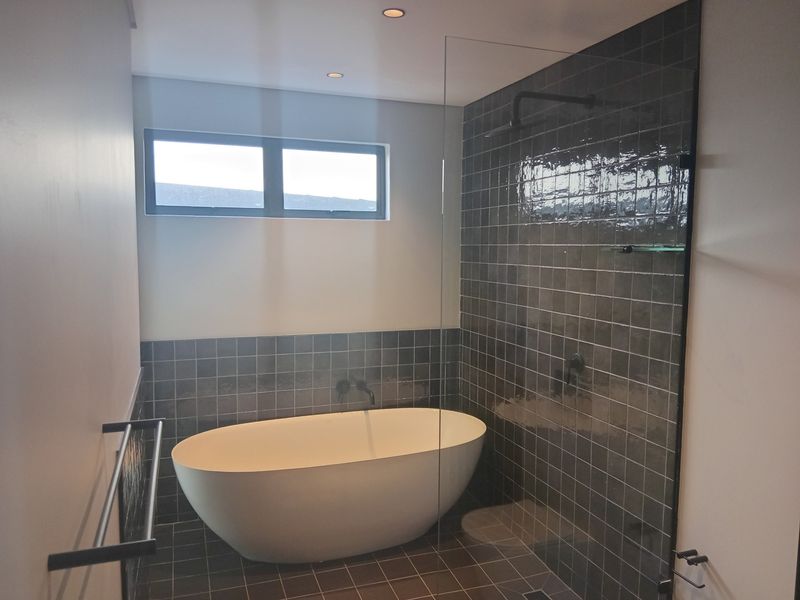 Modern bathroom featuring a sleek freestanding bathtub, a spacious walk-in shower with glass screen, and contemporary dark tiling throughout.
