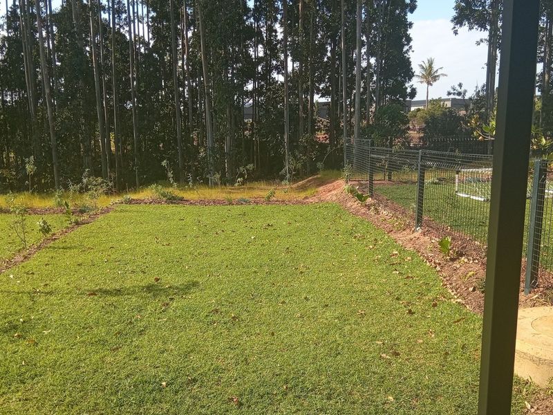 A private backyard garden featuring a well-maintained lawn, wire mesh perimeter fencing, and mature trees along the rear boundary.