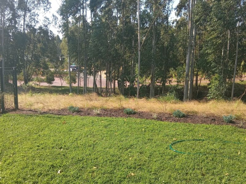 A private garden area featuring a lawn, a landscaped garden bed, and a wire mesh perimeter fence, bordered by mature trees.