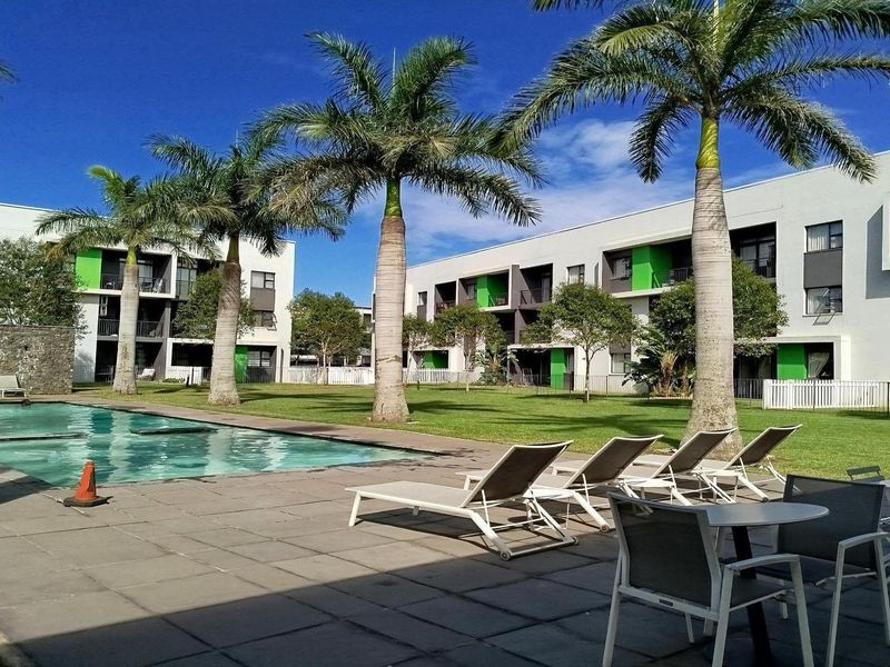 Communal outdoor pool area featuring a paved deck, landscaped garden with palm trees, and surrounding apartment building facades.
