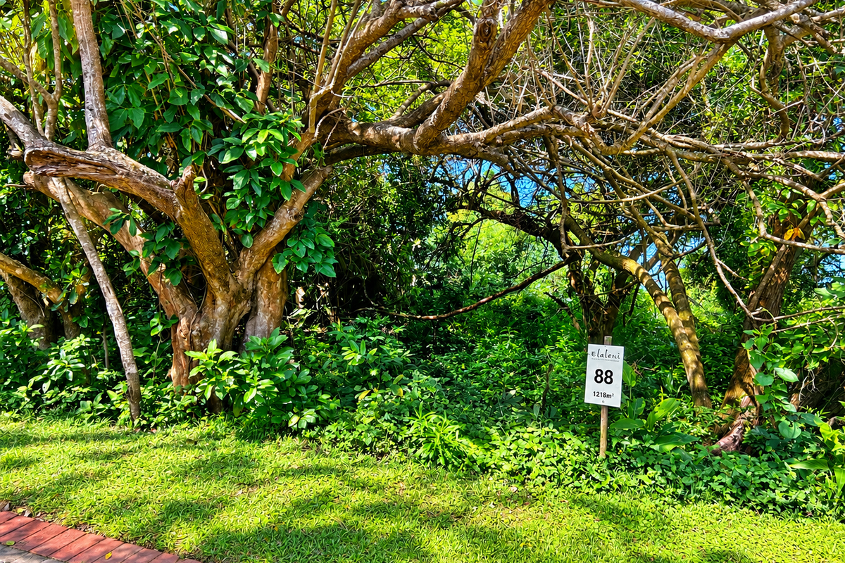A view of a residential vacant land plot featuring mature trees and established greenery, marked with a property identification sign.