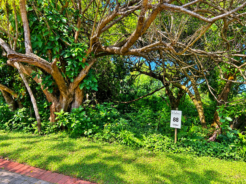 A view of a residential vacant land plot featuring mature trees and established greenery, marked with a property identification sign.