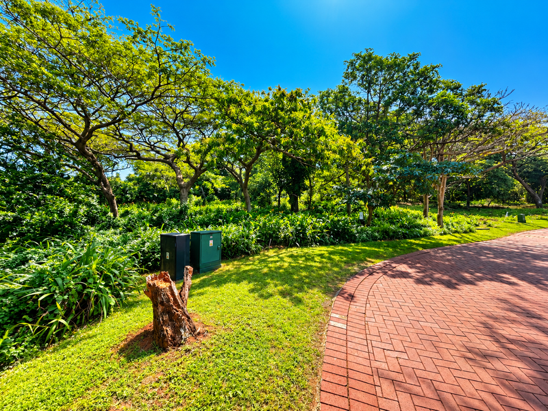 A well-maintained garden area featuring a red brick paved walkway, mature trees, and integrated electrical utility infrastructure.