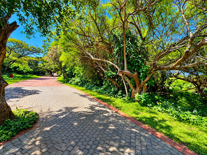 A well-maintained paved walkway winding through a lush, mature garden with established trees and greenery.