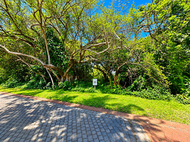A view of a vacant residential plot featuring mature trees and a paved street frontage.