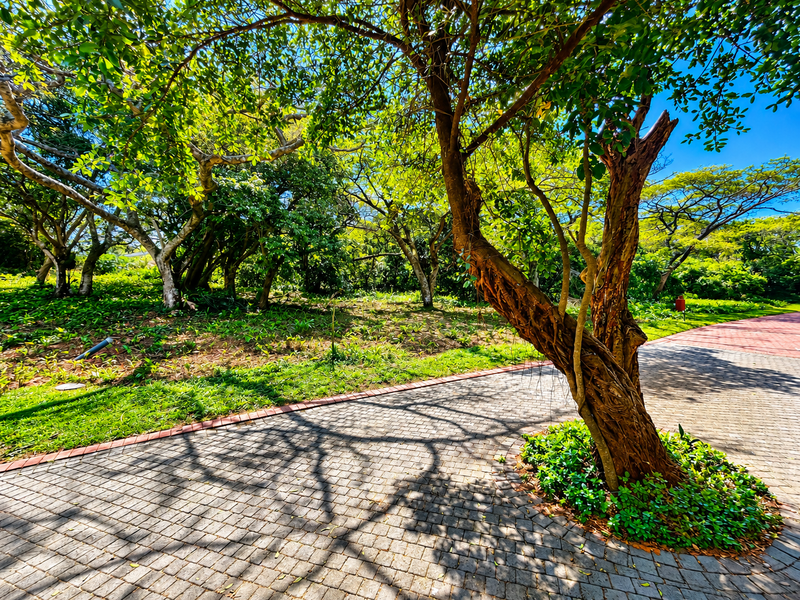 A well-maintained residential garden area featuring mature trees and paved pathways, offering a serene and established outdoor setting.