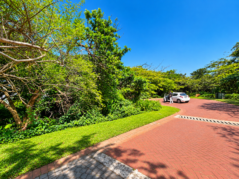 A well-maintained paved driveway leading into a lush, landscaped residential property with mature trees and clear blue skies.