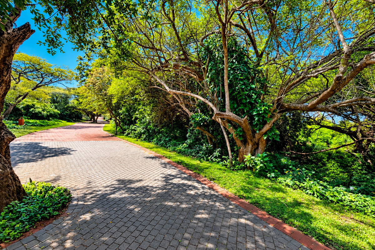 A well-maintained paved driveway winding through a lush, mature garden with established trees and greenery.