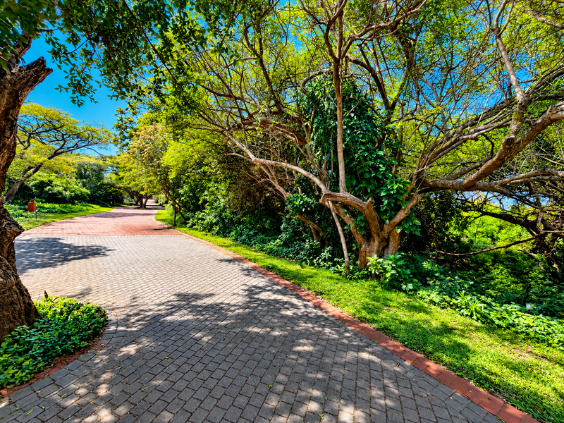 A well-maintained paved driveway winding through a lush, mature garden with established trees and greenery.