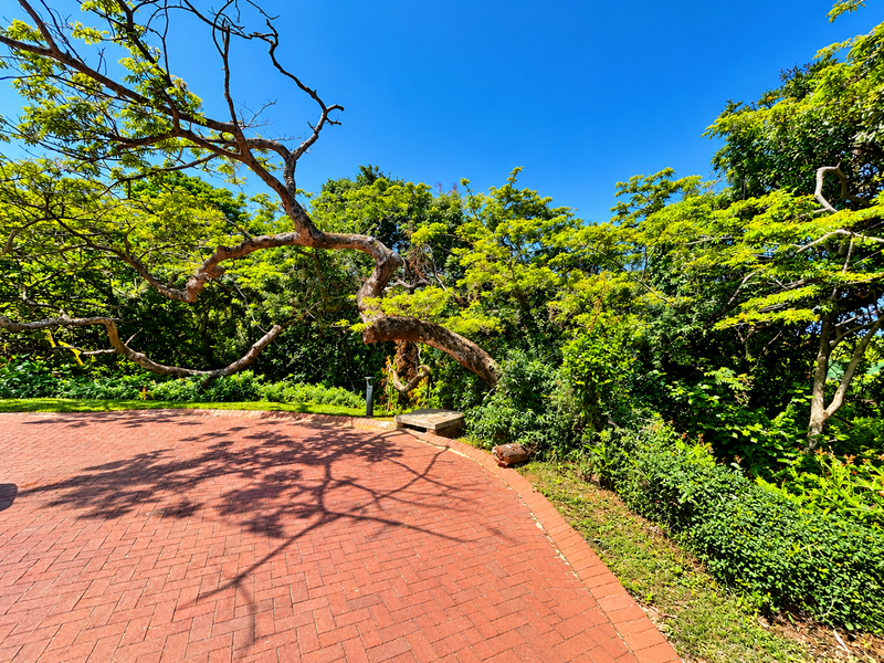 A well-maintained garden area featuring a red brick paved driveway surrounded by mature trees and lush greenery.