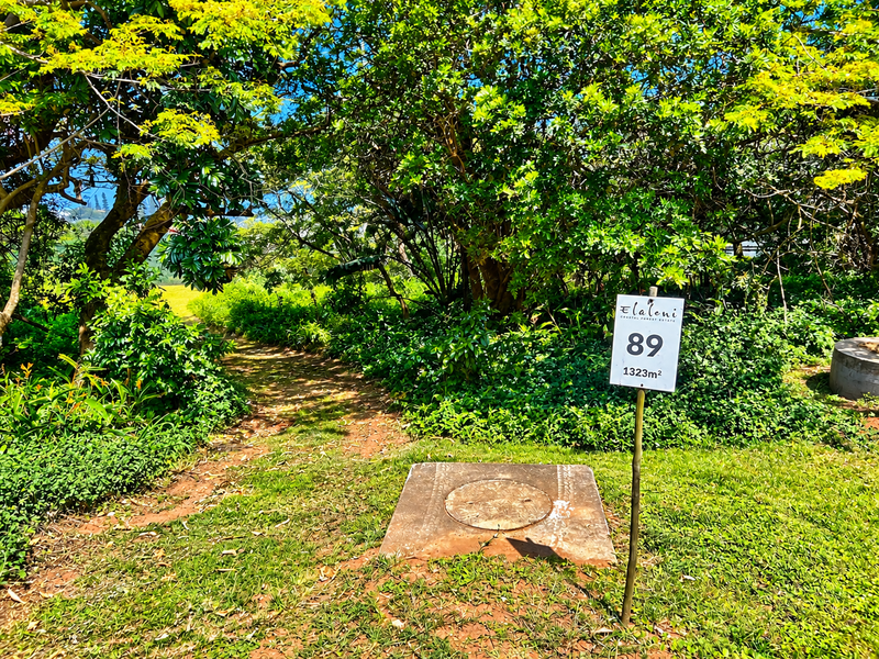 A view of a vacant residential plot featuring mature trees, lush greenery, and a utility manhole cover on the property grounds.