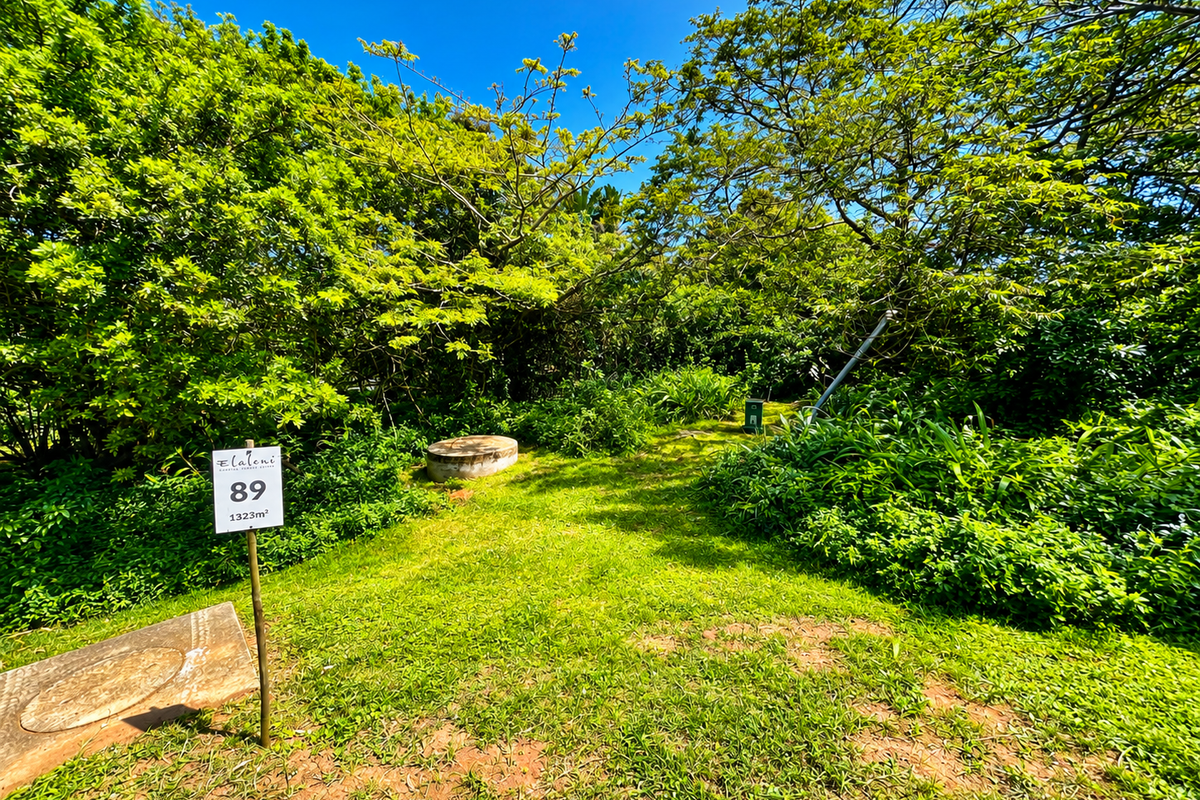 A view of a residential vacant land plot featuring established trees, dense vegetation, and visible utility inspection covers on the grass.