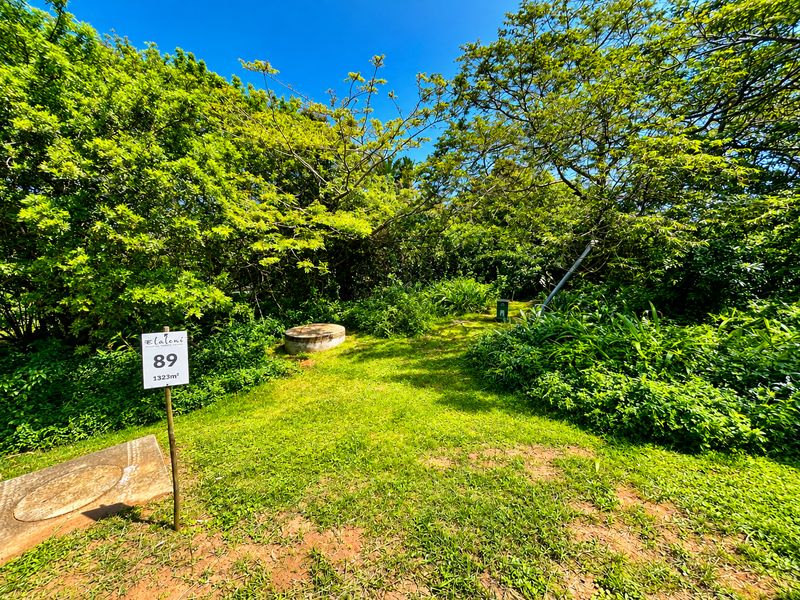 A view of a residential vacant land plot featuring established trees, dense vegetation, and visible utility inspection covers on the grass.