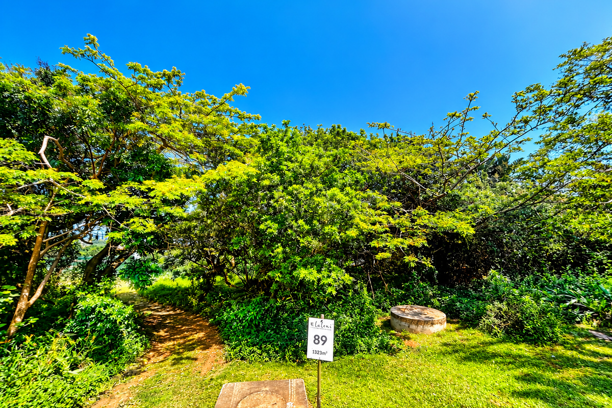 A well-maintained residential plot featuring mature trees, lush green lawn, and clear utility access points, ideal for future development.