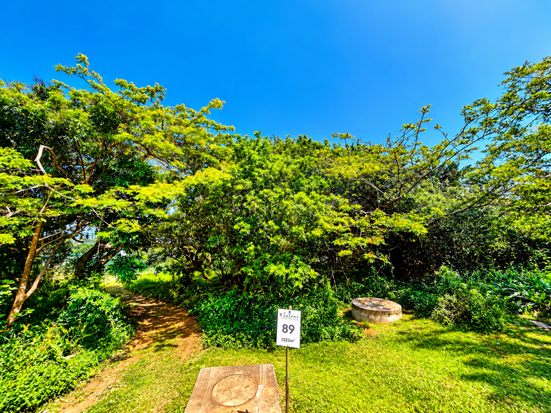 A well-maintained residential plot featuring mature trees, lush green lawn, and clear utility access points, ideal for future development.