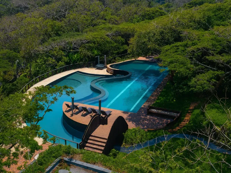 An aerial view of a large, uniquely shaped swimming pool surrounded by lush forest, featuring a wooden bridge and integrated decking area.