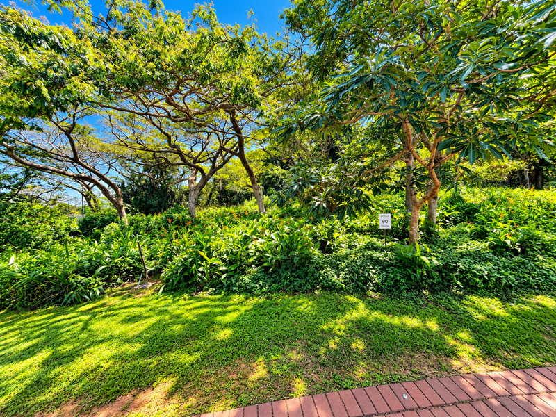 A well-maintained garden area featuring mature trees, lush greenery, and a paved walkway, offering a peaceful outdoor setting.