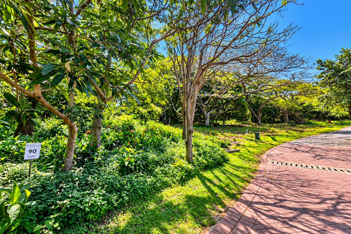 A well-maintained residential plot featuring mature trees, lush garden landscaping, and a paved walkway, offering a serene setting for future development.