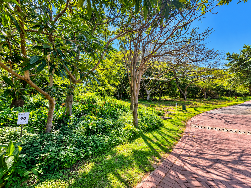 A well-maintained residential plot featuring mature trees, lush garden landscaping, and a paved walkway, offering a serene setting for future development.