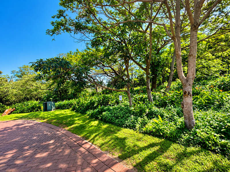 A well-maintained residential plot featuring mature trees, lush garden landscaping, and a paved driveway area.