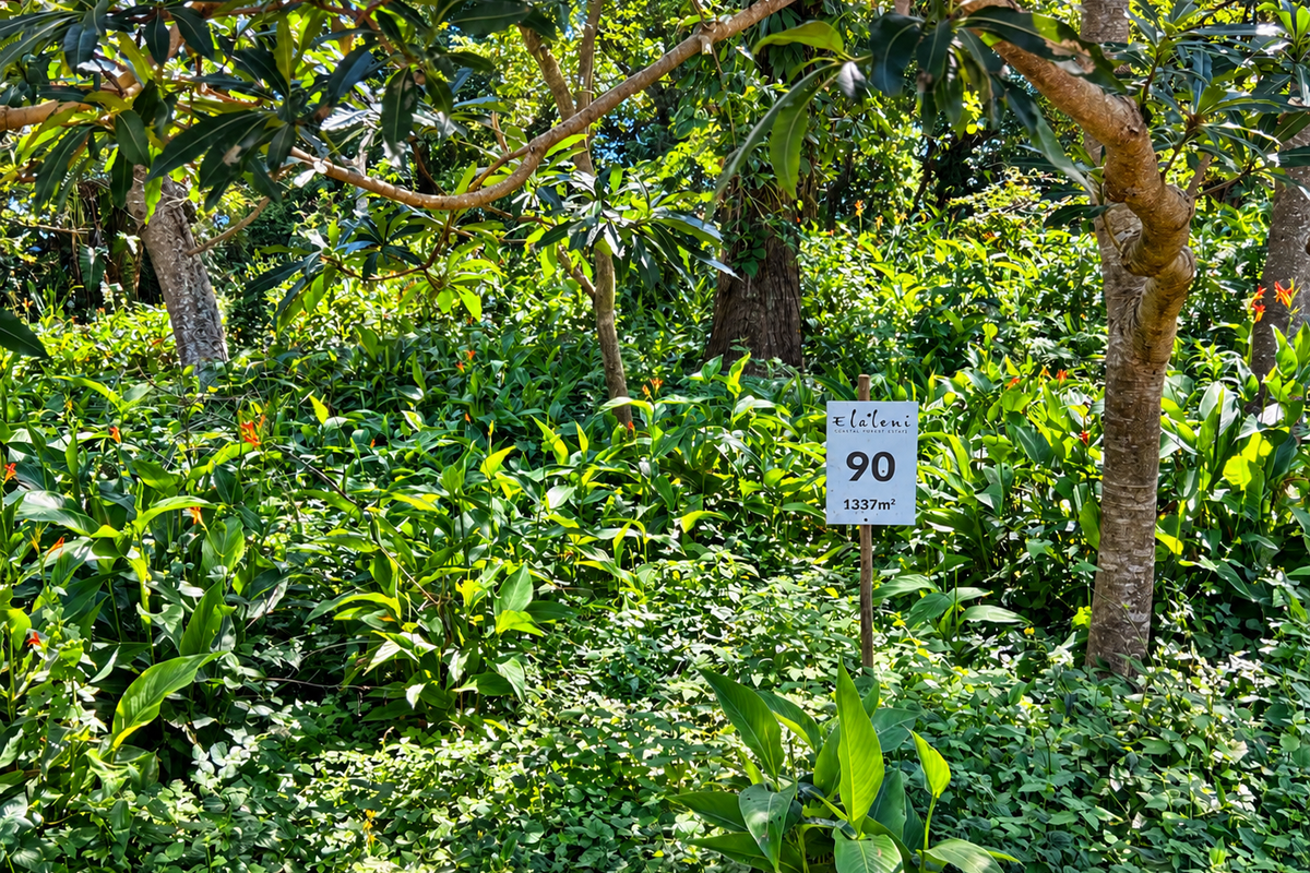 A view of a vacant residential plot featuring lush coastal forest vegetation and a clear property boundary marker.