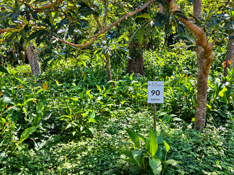 A view of a vacant residential plot featuring lush coastal forest vegetation and a clear property boundary marker.