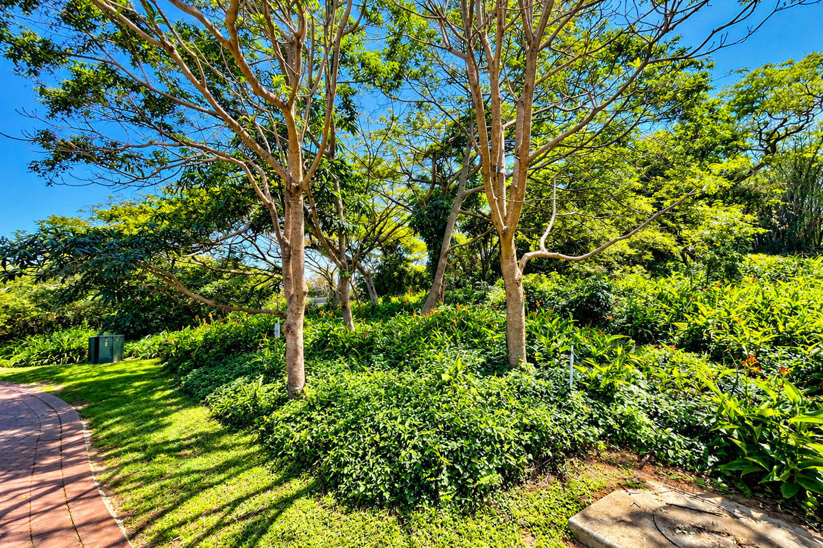 A well-maintained garden area featuring mature trees, lush greenery, and a paved walkway, providing a serene outdoor setting.