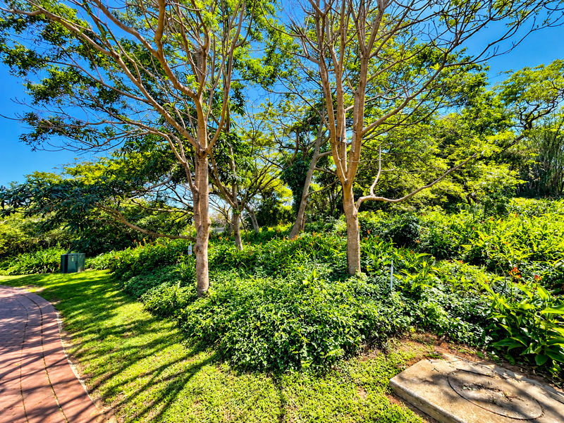 A well-maintained garden area featuring mature trees, lush greenery, and a paved walkway, providing a serene outdoor setting.