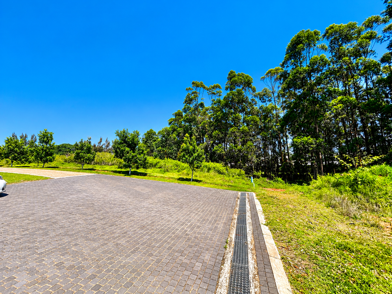 A well-maintained paved driveway area featuring a built-in stormwater drainage channel, bordered by established trees and green landscaping on a residential plot.