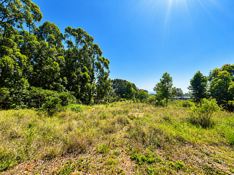 A view of a vacant residential plot featuring established trees and natural grassland under a clear blue sky.