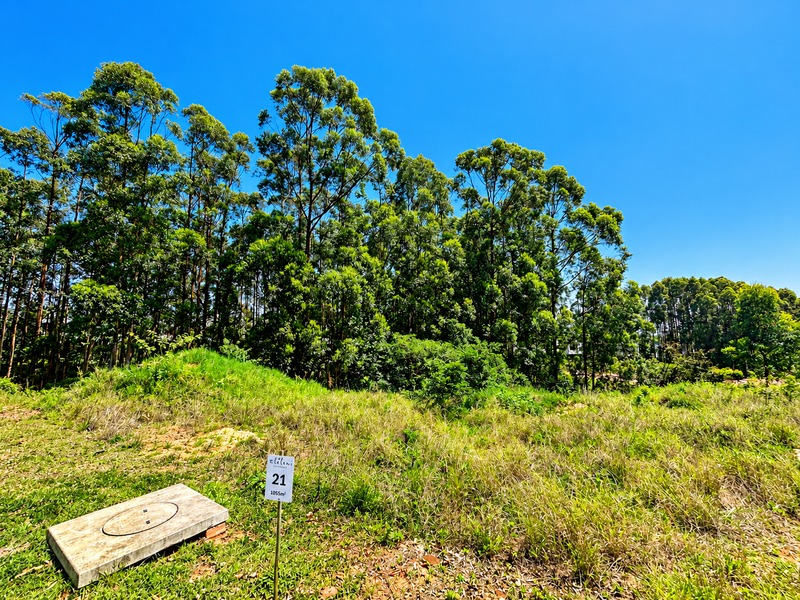 A vacant residential plot featuring natural vegetation, mature trees, and a clear property marker indicating the 1055m² stand size.