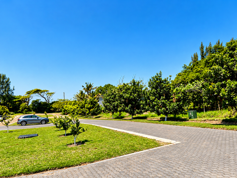 A well-maintained residential plot featuring a paved driveway, manicured lawn, and established trees under a clear blue sky.