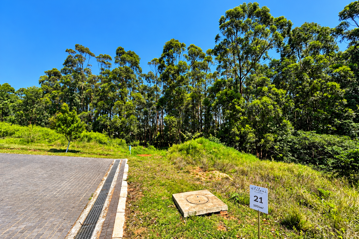 A vacant residential plot featuring a paved driveway edge, drainage infrastructure, and a clear boundary marker, set against a backdrop of mature trees.