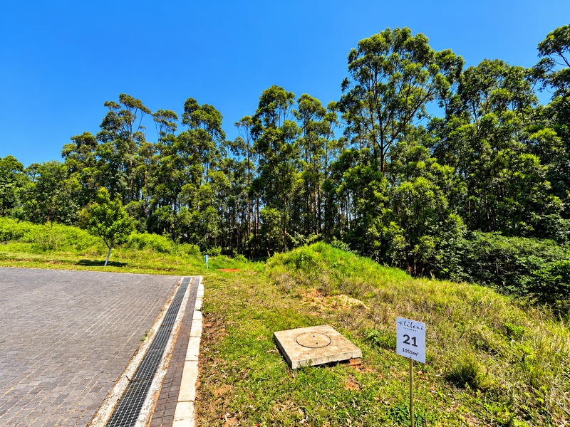 A vacant residential plot featuring a paved driveway edge, drainage infrastructure, and a clear boundary marker, set against a backdrop of mature trees.