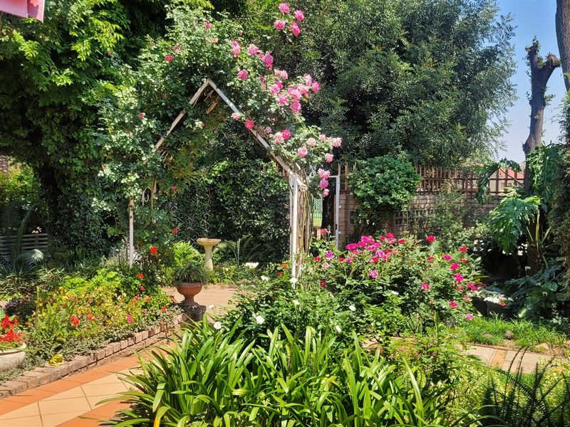 Room to Grow, Space to Thrive / Ruimte om te Groei, Plek om te Leef - Photo 6