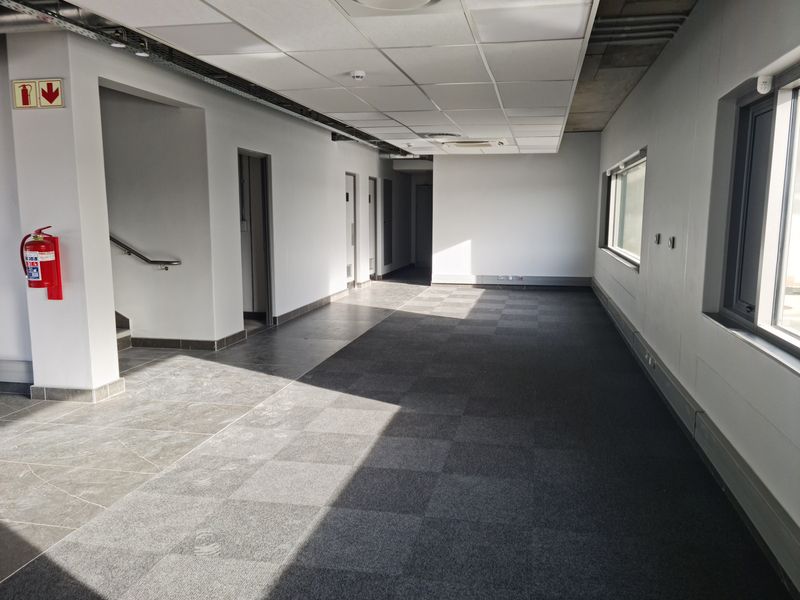 Warehouse TO LET in Blackheath - Brand new 3480m2 AAA Grade. - Photo 4